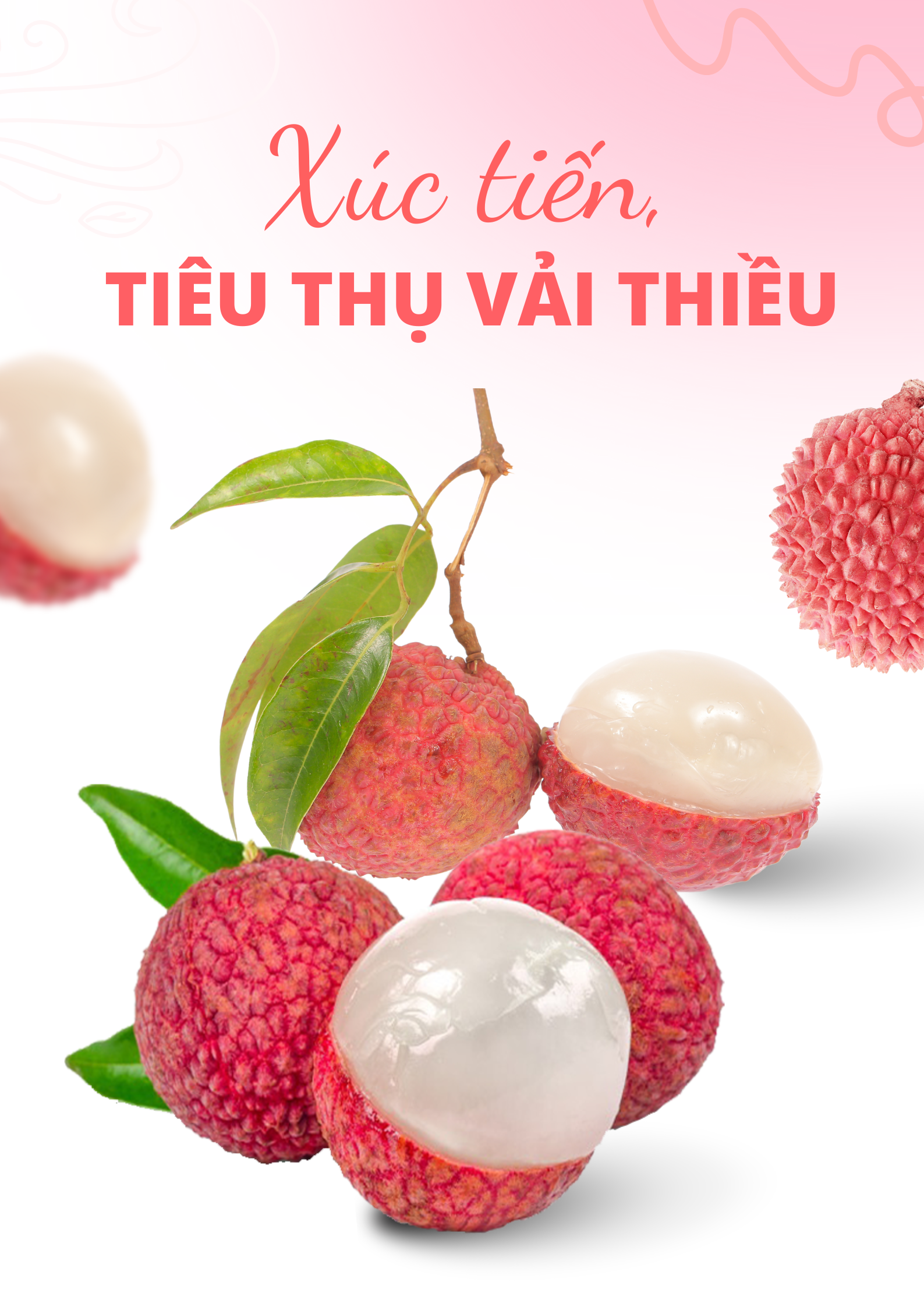 Xúc tiến, tiêu thụ vải thiều